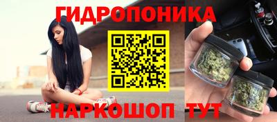 крисы Конаково