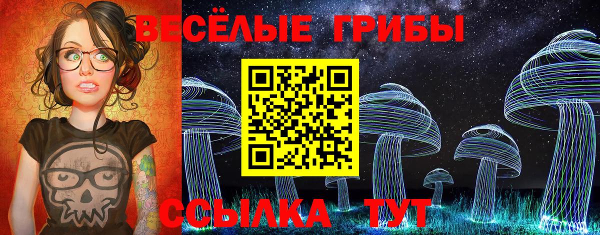 Галлюциногенные грибы Psilocybe  Галлюциногенные грибы Psilocybe  Лангепас  Вход с VPN 