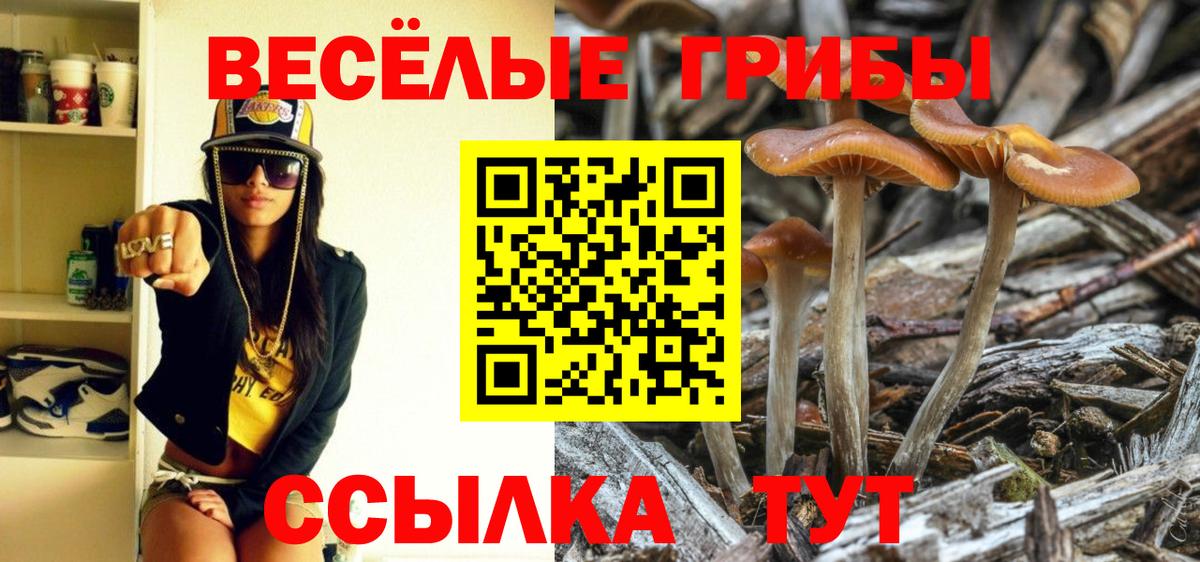 Псилоцибиновые грибы мицелий Лангепас
